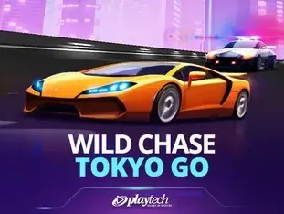 Wild Chase_ Tokyo Go game icon